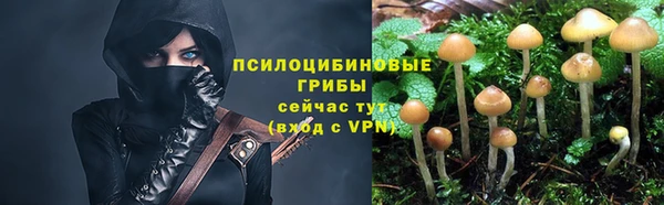 гидра Карталы