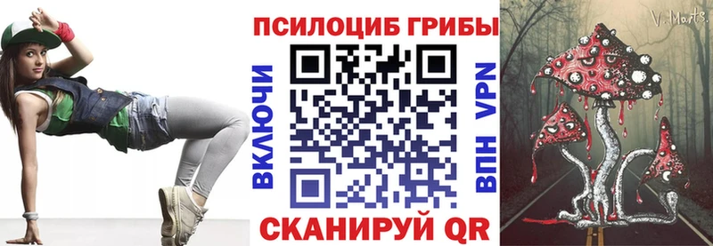 Галлюциногенные грибы мухоморы  Купить закладки  Чегем 